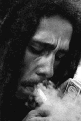 bay bob